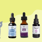 best cbd for cats with cancer