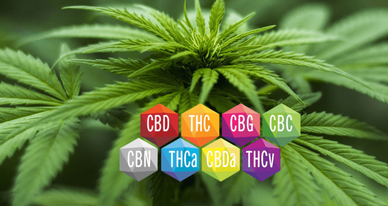 full spectrum CBD cannabinoids