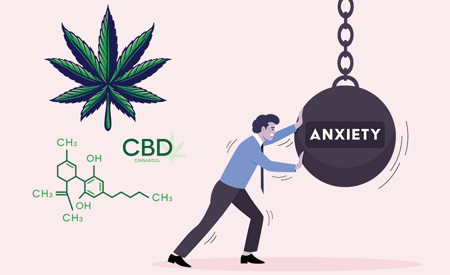 using cbd for anxiety