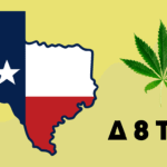 bill to ban delta 8 thc in texas