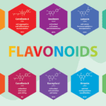 flavonoids in cannabis and cbd products