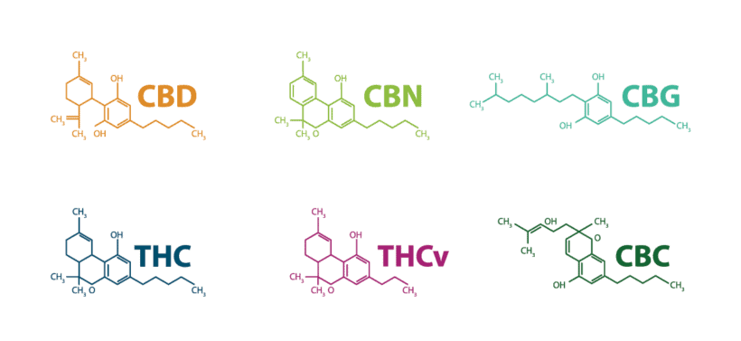 phytocannabinoid molecules