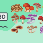 combining cbd with mushrooms
