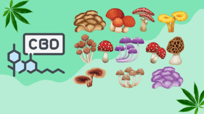 combining cbd with mushrooms