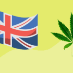 uk government accepts thc limit for cbd products